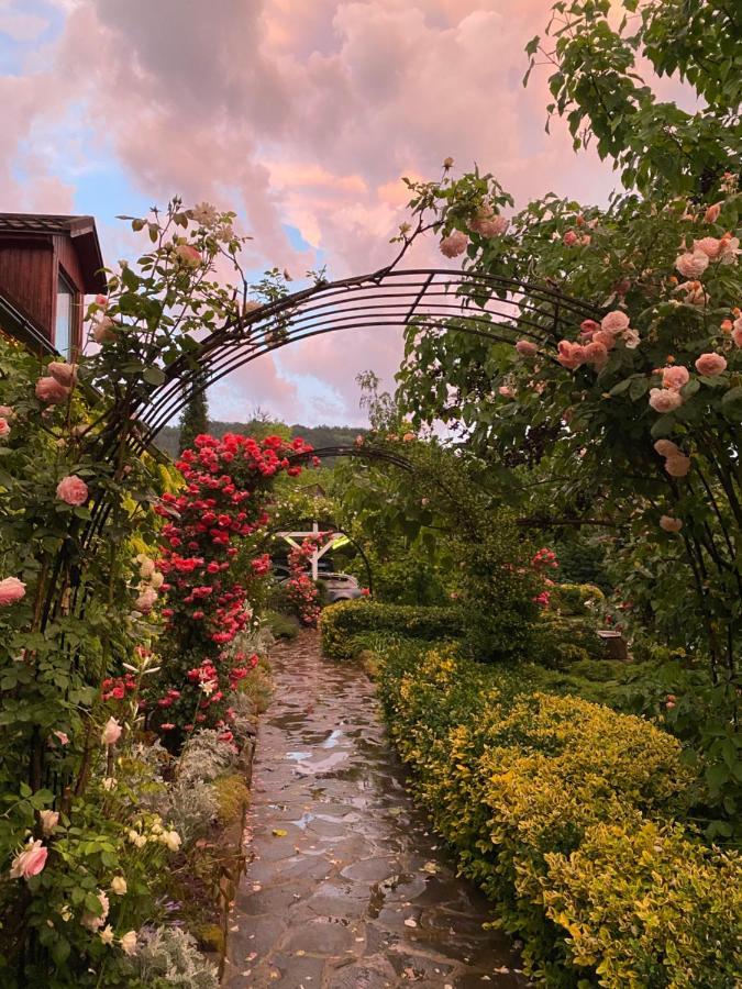 Hotel Casa Cu Suflet Sighişoara Esterno foto