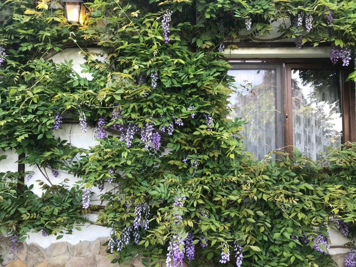 Hotel Casa Cu Suflet Sighişoara Esterno foto