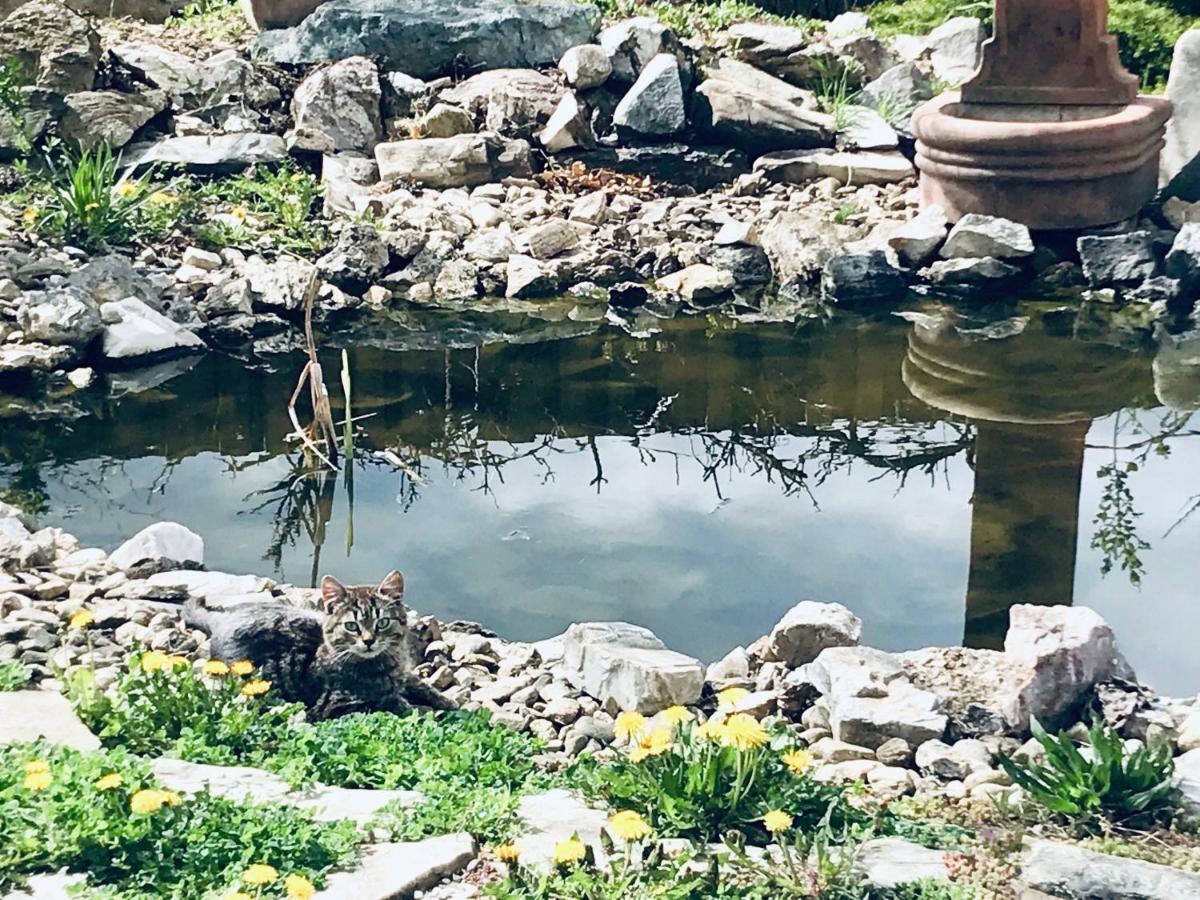 Hotel Casa Cu Suflet Sighişoara Esterno foto