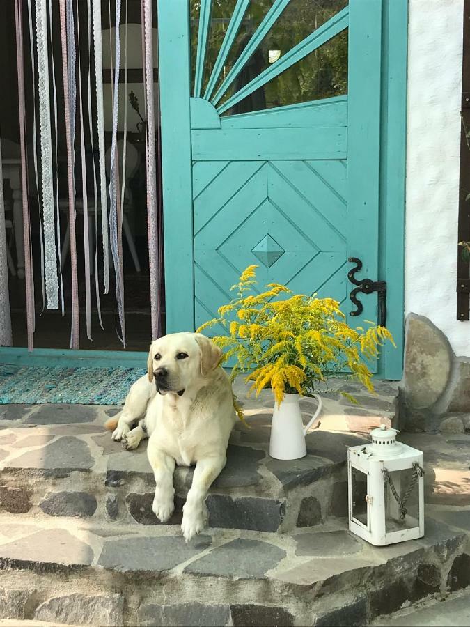 Hotel Casa Cu Suflet Sighişoara Esterno foto